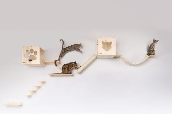 Kit Base - immagine 2
